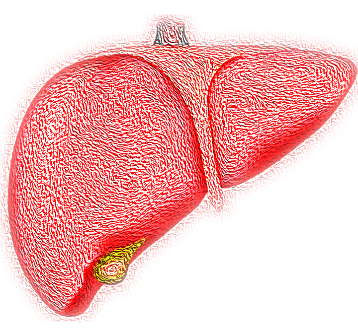 signs of fatty liver disease